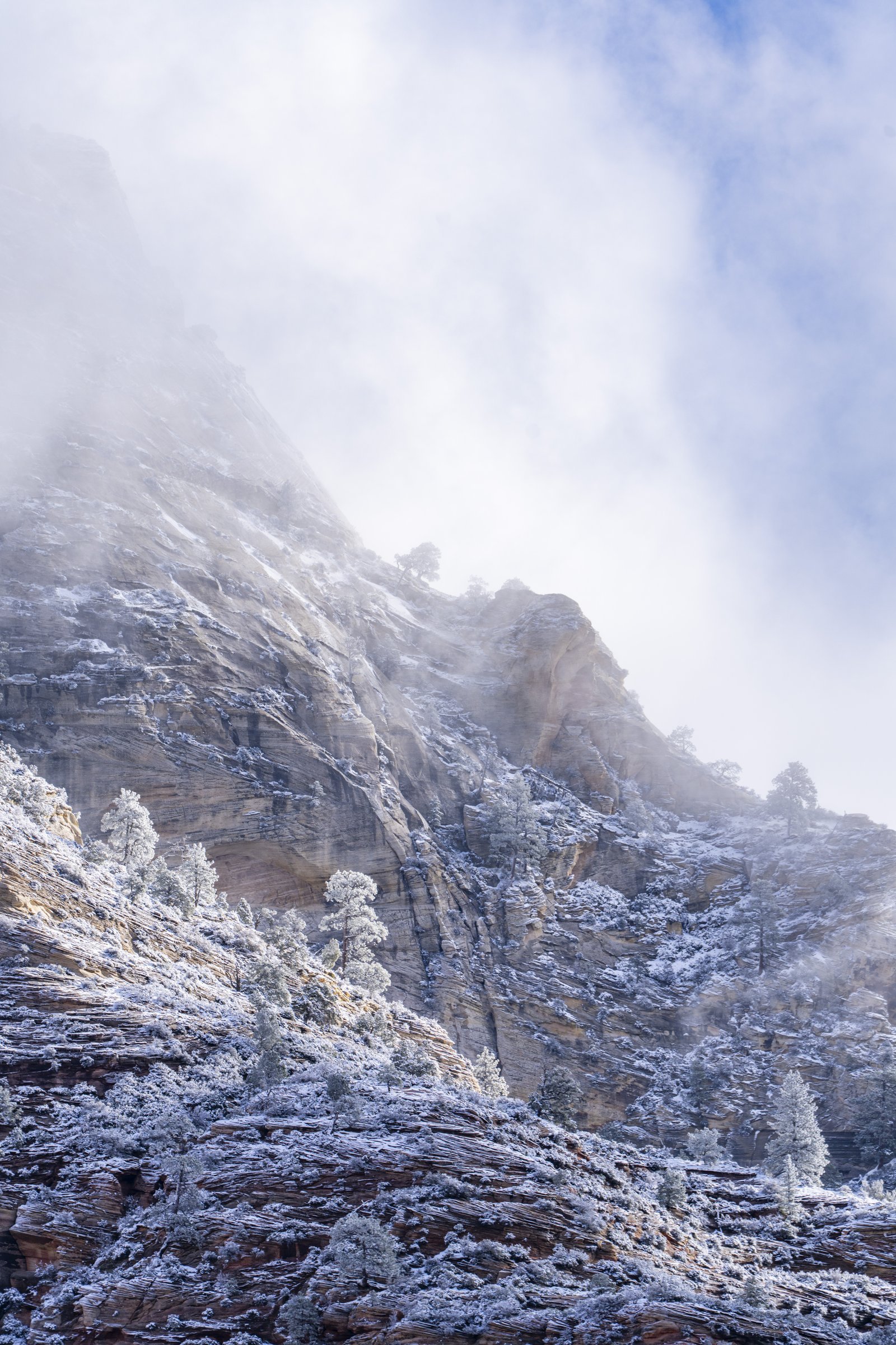 Zion Snow Dust